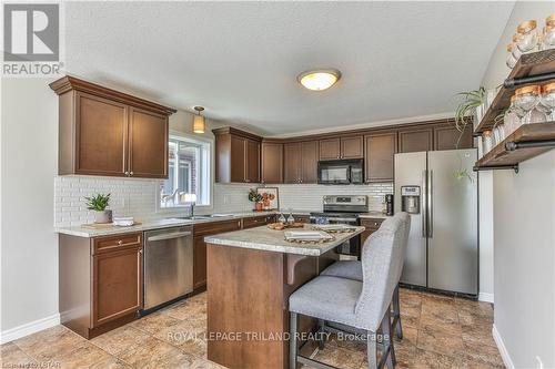 335 Portrush Place, London, ON - Indoor Photo Showing Kitchen With Double Sink