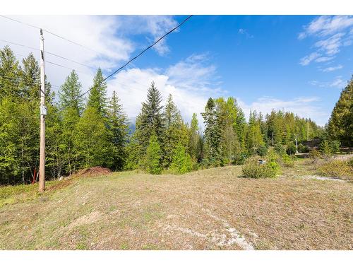 13637 Mountain Shores Road N, Boswell, BC 