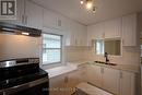 210 Lake Street, St. Catharines, ON  - Indoor Photo Showing Kitchen With Double Sink 