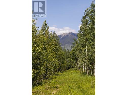 3180 Garrett Road, Mcbride, BC 