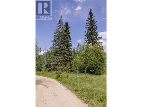 3180 Garrett Road, Mcbride, BC 