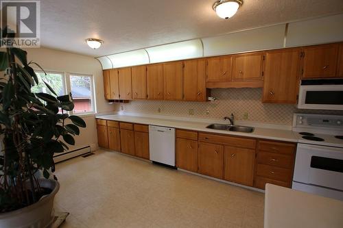 217 6Th Street, Nakusp, BC - Indoor Photo Showing Kitchen With Double Sink