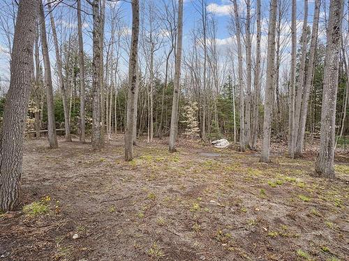 Wooded area - 1218 Rue Nancy, Saint-Jérôme, QC - Outdoor With View