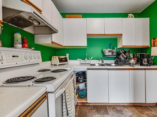 Kitchen - 2348  - 2352 Rue Cuvillier, Montréal (Mercier/Hochelaga-Maisonneuve), QC - Indoor Photo Showing Kitchen With Double Sink