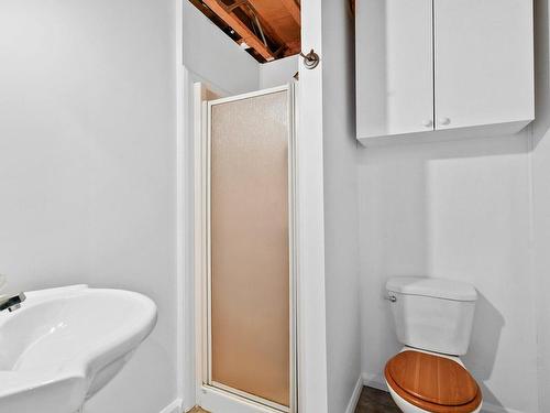 Bathroom - 255 Rue Valérie, Saint-Lin/Laurentides, QC - Indoor Photo Showing Bathroom