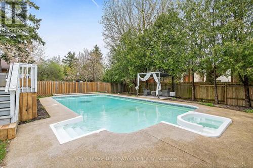161 Mill Street, Halton Hills, ON - Outdoor With In Ground Pool With Backyard