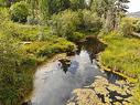 121 Whims Rd, Salt Spring, BC  - Outdoor With Body Of Water With View 