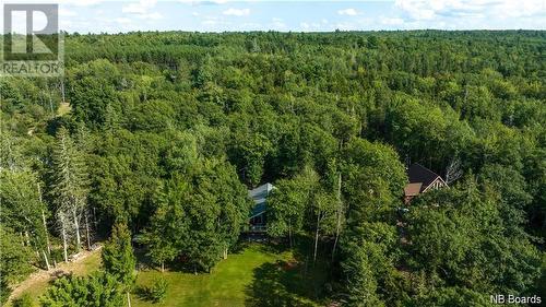 31 Candy Apple Lane, Cambridge-Narrows, NB - Outdoor With View