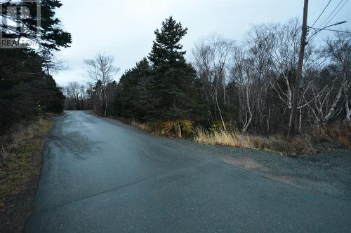 Lot 3 Church Terrace, Conception Bay South, NL 