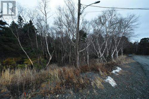 Lot 3 Church Terrace, Conception Bay South, NL 