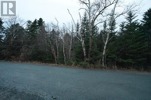 Lot 3 Church Terrace, Conception Bay South, NL 