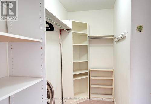 9 Edelweiss Avenue, Richmond Hill, ON - Indoor With Storage