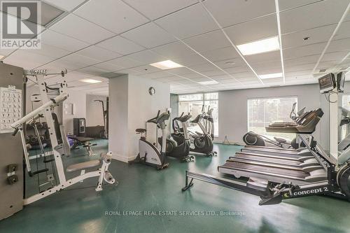 102 - 80 Palace Pier Court, Toronto, ON - Indoor Photo Showing Gym Room
