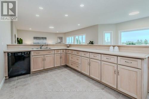 7175 Ariss Valley Road, Guelph/Eramosa, ON - Indoor Photo Showing Kitchen With Double Sink