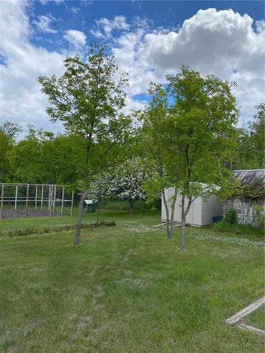 800 3Rd Avenue W, Oak Lake, MB - Outdoor With View