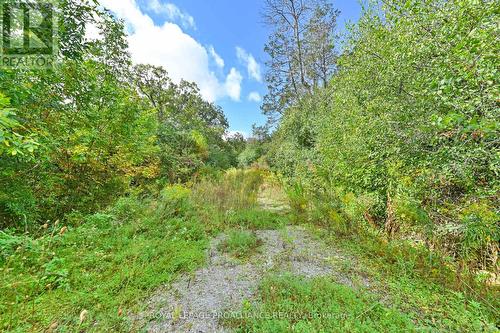 178 Sunrise Drive, Prince Edward County, ON 