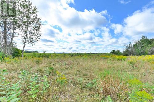 178 Sunrise Drive, Prince Edward County, ON 