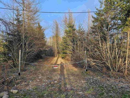 Old Tatamagouche Road, Onslow Mountain, NS 