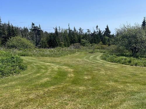 Lot2 316 Highway, Guysborough County, NS 