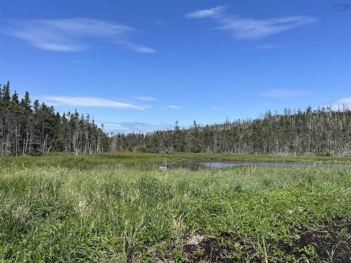 Lot2 316 Highway, Guysborough County, NS 