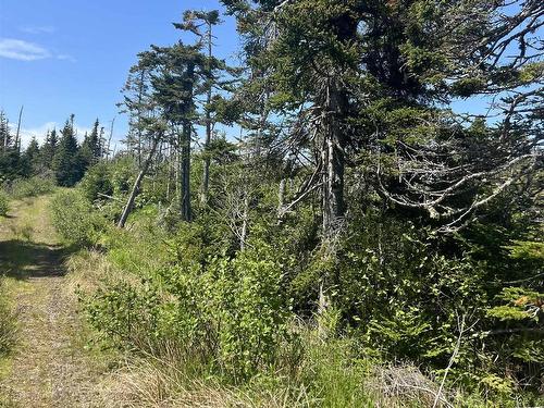 Lot2 316 Highway, Guysborough County, NS 