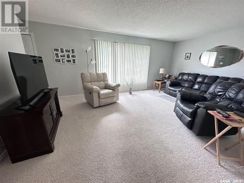 105 2Nd Avenue E, Lampman, SK - Indoor Photo Showing Living Room