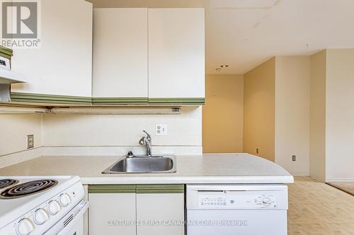 136 Elmwood Avenue E, London, ON - Indoor Photo Showing Kitchen