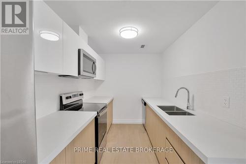 202 - 3290 Stella Crescent, Windsor, ON - Indoor Photo Showing Kitchen With Double Sink