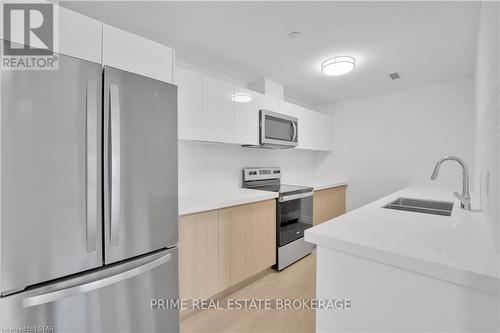 202 - 3290 Stella Crescent, Windsor, ON - Indoor Photo Showing Kitchen With Stainless Steel Kitchen With Double Sink