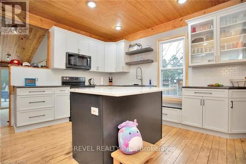 263 King Street, Southwest Middlesex, ON - Indoor Photo Showing Kitchen With Upgraded Kitchen