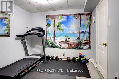 738 Briar Crescent, Milton, ON - Indoor Photo Showing Gym Room