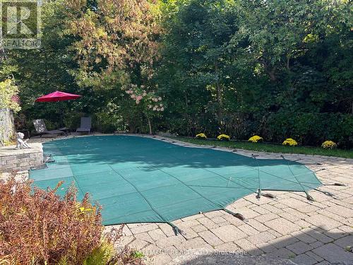 105 Cliffcrest Drive, Toronto, ON - Outdoor With In Ground Pool With Backyard