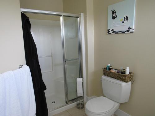 3776 Williston Road, Castlegar, BC - Indoor Photo Showing Bathroom