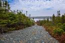 Lot 7 Rocky Pond Road, Conception Bay North, NL  - Outdoor With View 