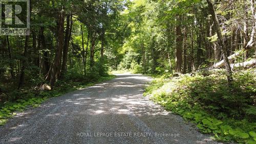 Lot 23/ Lot 24 Ties Mountain Road, Galway-Cavendish And Harvey, ON 