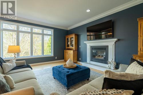 66 Valleyview Crescent, Thames Centre, ON - Indoor Photo Showing Living Room With Fireplace