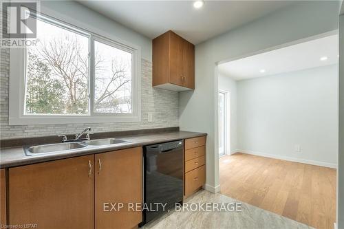 614 Chiddington Ave, London, ON - Indoor Photo Showing Kitchen With Double Sink