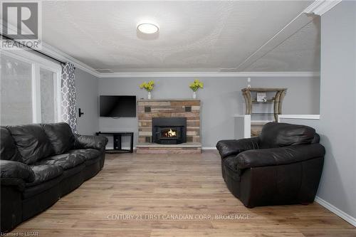 1835 Mark Settlement Drive, North Middlesex, ON - Indoor Photo Showing Living Room With Fireplace