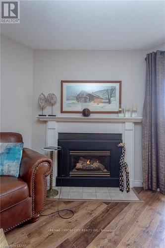 201 - 440 Wellington Street, St. Thomas, ON - Indoor Photo Showing Living Room With Fireplace