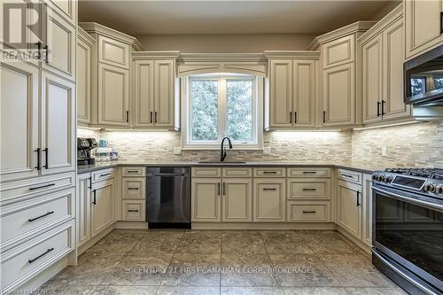 22628 Richmond Street, Middlesex Centre, ON - Indoor Photo Showing Kitchen With Upgraded Kitchen