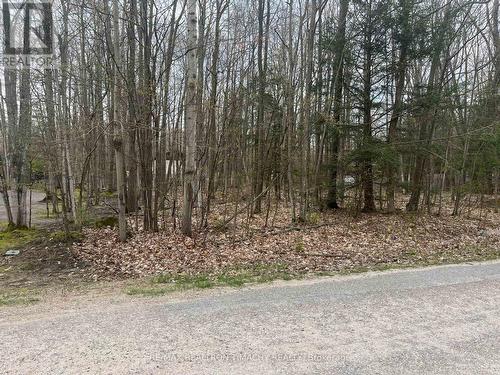 Lot 705 Wolfe Trail, Tiny, ON 
