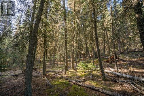 Lot 1 Thompson Road, 108 Mile Ranch, BC 