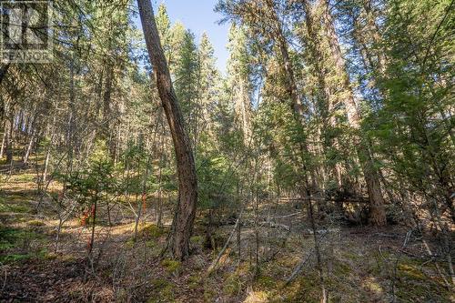 Lot 1 Thompson Road, 108 Mile Ranch, BC 