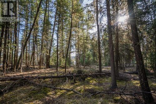 Lot 1 Thompson Road, 108 Mile Ranch, BC 