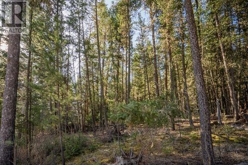 Lot 1 Thompson Road, 108 Mile Ranch, BC 