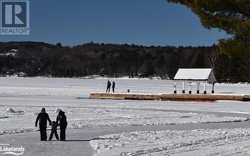 Winter, Dwight Beach, Lake of Bays - 2840 Highway 60, Dwight, ON 