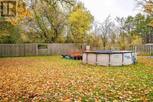 448 Main Street E, Southgate, ON - Outdoor With Above Ground Pool With Backyard