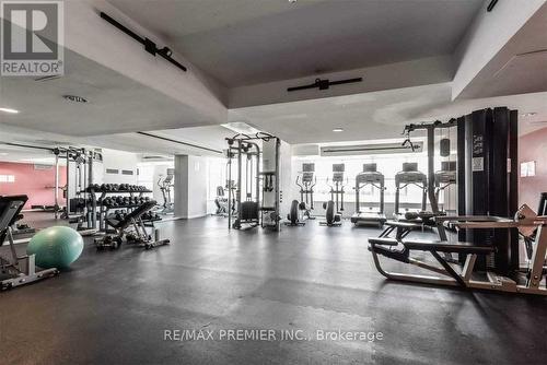 521 - 55 East Liberty Street, Toronto, ON - Indoor Photo Showing Gym Room
