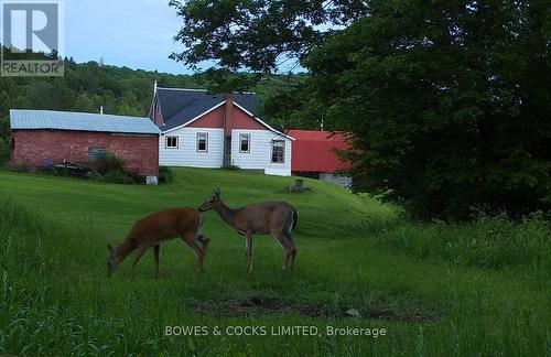 114 Moore Lane, Bancroft, ON 