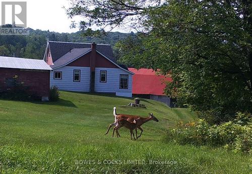 114 Moore Lane, Bancroft, ON 